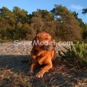 Alexandres.0090