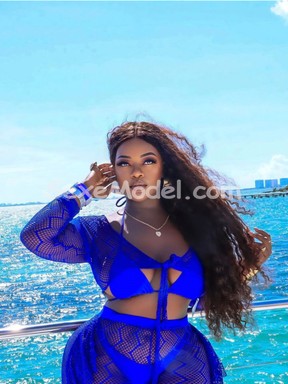 Annonce Chattepoilue36, Deauville