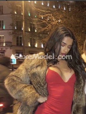 Annonce TS TRANS MAROCAINE ACTIVE , Saint-ouen